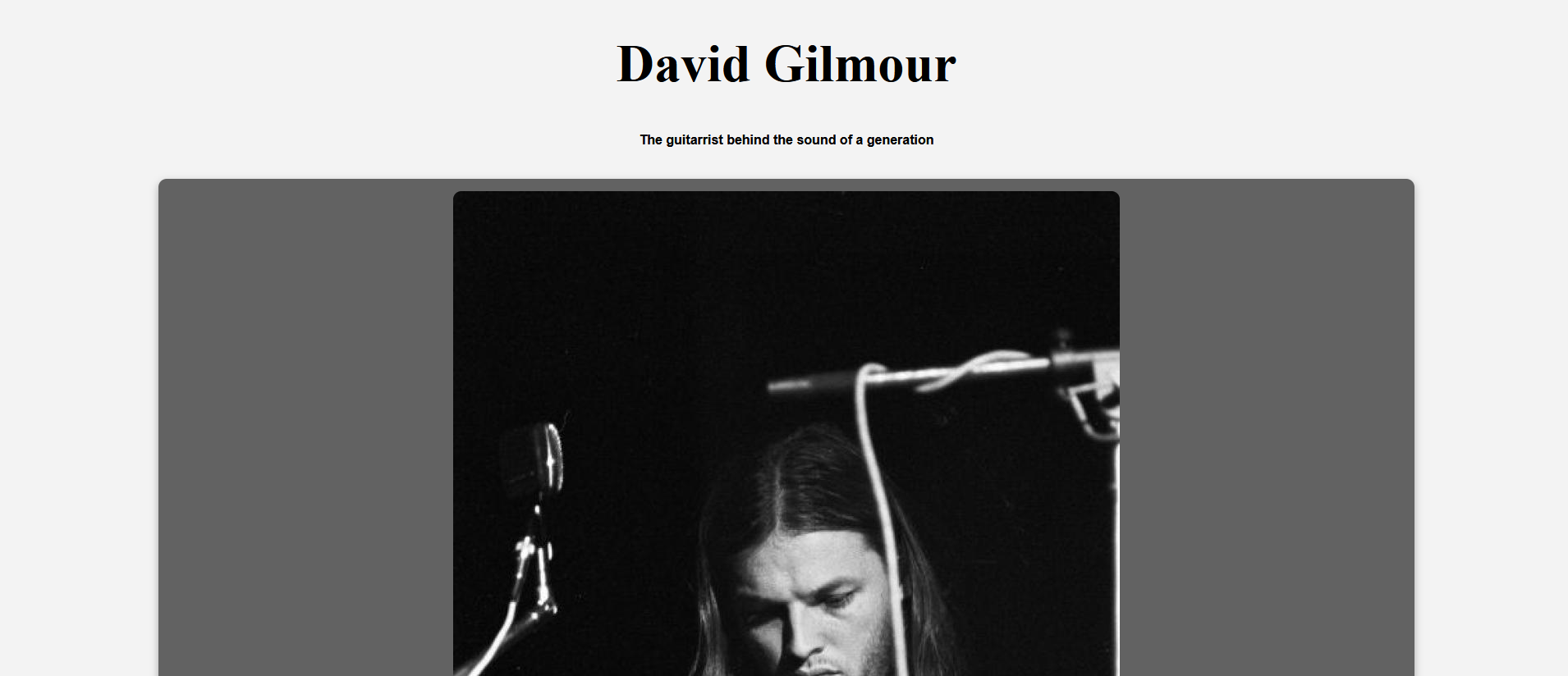 image of the tribute website